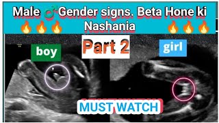 MALE GENDER SIGNS PART 2😎🔥 I BETA HONE KI NISHANIA IN URDU AND HINDI I [upl. by Haddad]