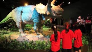 Robotic dinosaurs go wild at Field Museum [upl. by Valerio187]