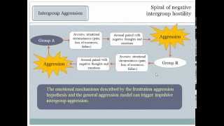 Group Dynamics 14a Intergroup Conflicts Causes [upl. by Ahtreb]