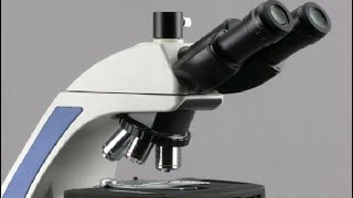 AmScope T720 40X 1000X Plan Infinity Kohler Laboratory Trinocular Compound Microscope Review [upl. by Asi]