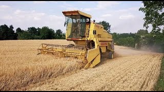 ★Żniwa 2019★Jęczmień Jary★New Holland 8050★ [upl. by Plantagenet]