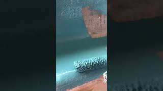 Painting a Pool using Chlorinated Rubber Paint satisfying painting pools [upl. by Lesya]