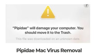 Pipidae Mac Virus Removal Guide 5 Minutes [upl. by Isador]