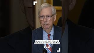 Senate GOP leader Mitch McConnell briefly leaves after freezing midsentence [upl. by Booze82]