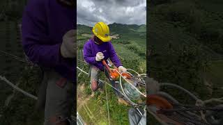 lineman pekerjaan opgw pln fypシ゚viral [upl. by Nylsirk]