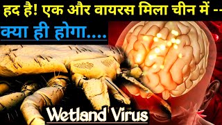 New virus found in China  discovered Wetland Virus kya hai  why need to worry from Chinese viruses [upl. by Jerz]