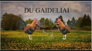 Du gaideliai [upl. by Mollee]