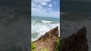 Puerto Viejo de Talamanca ✨Costa Rica 🇨🇷 Digital Nomad Lifestyle [upl. by Keyek]