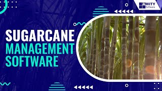 Sugarcane Management Software [upl. by Glaser]