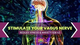 Reset The Vagus Nerve  Restore Vagal Tone For A Calmer Stronger You  Rid Stress amp Anxiety State [upl. by Cherilyn]