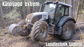 🌲 Forstarbeit 2023 🌲⚠️Käferjagd Extrem ⚠️ [upl. by Idham]