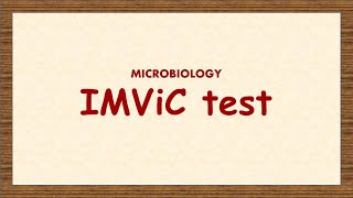 IMViC test identification of bacteria MICROBIOLOGY UNIT 1 [upl. by Basso]