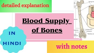 Blood supply to bone easy explanation with notes [upl. by Roleat]