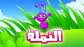 كليب النمله quot نمله نموله quot  رنده صلاح  قناة كراميش Karameesh Tv [upl. by Dardani54]