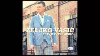 Zeljko Vasic  Zauvek  Audio 2013 HD [upl. by Solly]