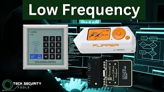 Understanding Low Frequency [upl. by Mcafee]