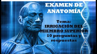 Test sobre irrigación de miembro superior 10 preguntas y la explicación de sus respuestas [upl. by Ihcego]