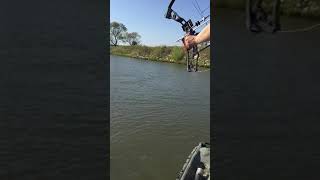 Bowfishing rolling gar Slocked a pig [upl. by Leeban11]