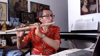 A Bova Prélude no 29 for baroque flute [upl. by Grimbald]