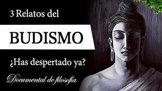 3 RELATOS BUDISTAS Documental de Filosofía  ¿Qué es la PAZ PERFECTA y la CONCIENCIA MORAL [upl. by Marigolda]