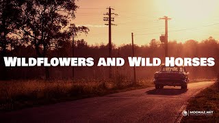 Wildflowers and Wild Horses  Lainey Wilson playalong for guitar [upl. by Belldame]