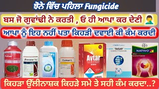 ਝੋਨੇ ਤੇ ਪਹਿਲਾ ਉੱਲੀਨਾਸ਼ਕ ਕਿਹੜਾ ਵਰਤਨਾ  First fungicide spray use in paddy [upl. by Hillhouse]