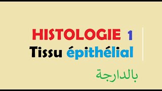 cours HISTOLOGIE Ep 1  Tissu épithélial [upl. by Adieno]