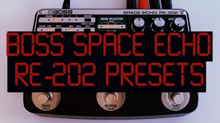 New BOSS RE202 Tape Delay Presets Review  Quick 5 min review [upl. by Avera]