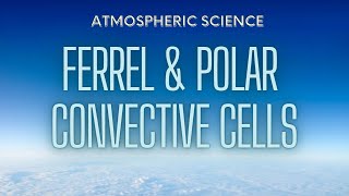 What Are The ‘Ferrel Cell’ amp ‘Polar Cell’ In The Atmosphere [upl. by Lanita719]