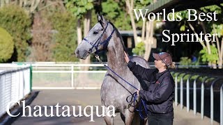 ATC TV Chautauqua The Worlds Best Sprinter [upl. by Rheims]