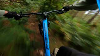 Kinver Edge Downhill Mountain bike a tad over grown [upl. by Emirej]