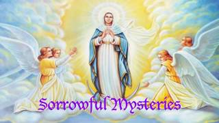 🕊 Sorrowful Mysteries  Tuesdays amp Fridays  Rosary with Scripture [upl. by Orville]