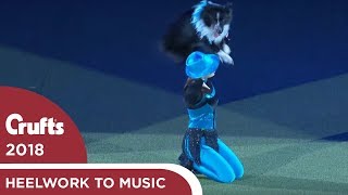 Heelwork to Music  Freestyle International Winner  Crufts 2018 [upl. by Colburn]