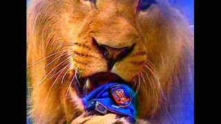 LEONES DEL CARACAS CAMPEONES [upl. by Julius]