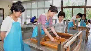 Washi craftsmanship of traditional Japanese handmade paper [upl. by Licko584]