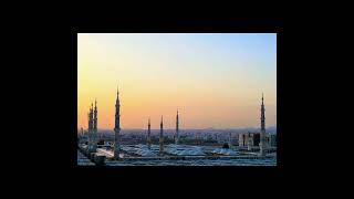 naatsharif islamicstatus youtubeshorts naatstatus musicgenre besttilawatintheworld [upl. by Philipa]