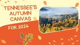 Tennessees Autumn Canvas [upl. by Inaj]