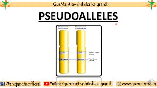 PSEUDOALLELES  CONCEPT OF GENE  GENETICS [upl. by Raphael]