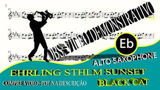 Ehrling Sthlm Sunset Remix  Black Cat  Alto Sax Eb [upl. by Yrem]