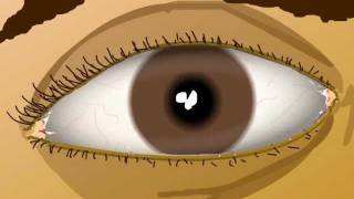 Animated eye exercises to improve your vision [upl. by Aened]