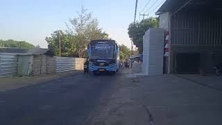 bus Nakula [upl. by Ayat]