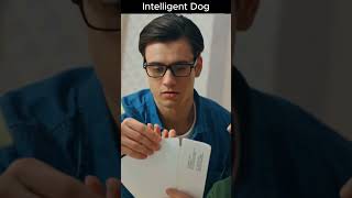 Intelligent Dog Saves Owner from Monsterdog dogvideos animals [upl. by Nameerf]