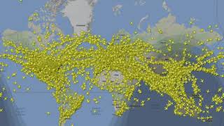 205468 Flights in 24 Hours [upl. by Truda]