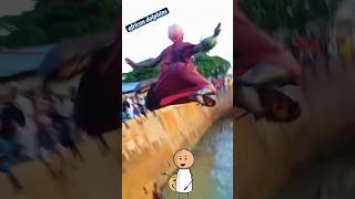 African dolphin 🐬😂😂😂ytshorts funny shorts [upl. by Yank463]