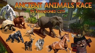 Animals VS Ancient Animal Race in Abandoned City included Mammoth Elephant Tortoise Wolf amp Horse [upl. by Dlanigger]