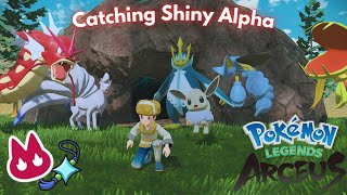 SHINY ALPHA Compilation 6 with SINNOH MUSIC in Pokemon Legends Arceus [upl. by Lenuahs]