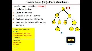 Les arbres binaires  structures de données  cours amp exemple [upl. by Hanas]