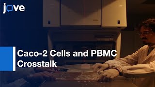 Xray Irradiated Caco2 Cells and PBMC Crosstalk Investigation  Protocol Preview [upl. by Draner142]