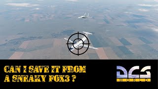 Can I save this Civilian Aircraft   SU27  F22 DCS World  Digital Combat Simulator [upl. by Shewmaker7]