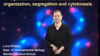 Lucy Shapiro Stanford Univ Part 1 Dynamics of the Bacterial Chromosome [upl. by Crissie]